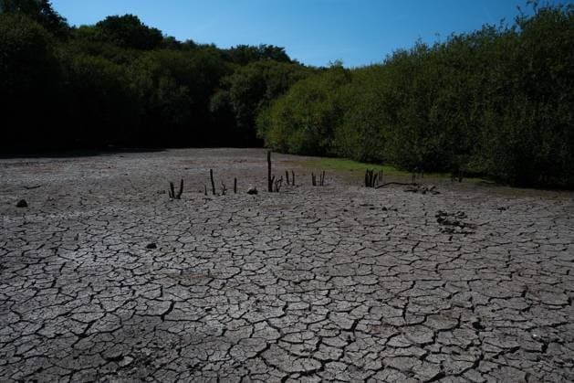 Prolonged heatwave and drought dry up historic Stew Pond at Epsom Common in Surrey EPSOM, UNITED KINGDOM - AUGUST 11: A veiw of the cracked, parched earth of Stew Pond exposed following an extended period of high temperatures and severe drought conditions at Epsom Common in Surrey, England, on August 11, 2026. The historic pond, a local nature reserve and habitat for diverse wildlife, has seen its water levels drop dramatically as persistent dry weather continues across southern Britain. Rasid Necati Aslim Anadolu Epsom United Kingdom. Editorial use only. Please get in touch for any other usage.  Copyright: x2026xAnadoluxRasidxNecatixAslimx