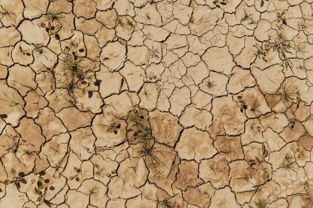 Creative Highlights World Ausgetrockneter Boden, aufgenommen in Lunca de Sos, 30.07.2026. Lunca de Sos Rumaenien *** Parched soil, photographed in Lunca de Sos, July 30, 2026, Lunca de Sos, Romania Copyright: xFlorianxGaertnerx