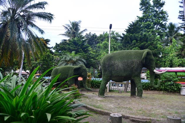 August 12, 2026, Siliguri, West Bengal, India: Trees are shaped like Elephants structure at Airview Traffic Point Park in Siliguri. World Elephant Day is observed globally today. These elephant-themed trees were created to protect both elephants and trees. Siliguri India - ZUMAd209 20260812_znp_d209_009 Copyright: xDiptenduxDuttax