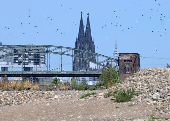 12.08.2026, xophax, öffentliches Leben, Köln, Rheinufer, Stadt Köln . Niedrigwasser. Rheinufer von Köln - Poll aus gesehen.Dom und Südbrücke. Köln *** August 12, 2026, xophax, public life, Cologne, banks of the Rhine, City of Cologne, low water levels on the banks of the Rhine in Cologne, viewed from the Poll, Cologne Cathedral and the Südbrücke