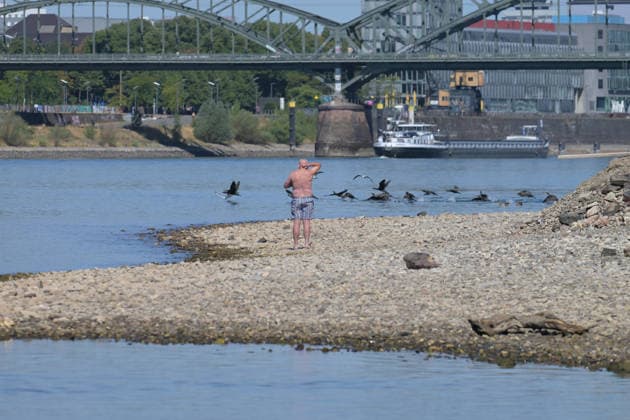 12.08.2026, xophax, öffentliches Leben, Köln, Rheinufer, Stadt Köln . Niedrigwasser. Rheinufer von Köln - Poll aus gesehen.Südbrücke. Köln *** August 12, 2026, xophax, public life, Cologne, banks of the Rhine, City of Cologne, low water levels on the banks of the Rhine in Cologne, viewed from Poll toward the Südbrücke in Cologne