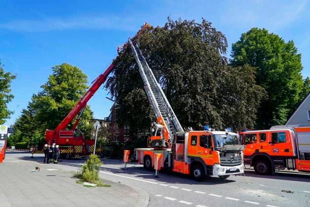 CNTV BAUMKRONE - Feuerwehr mit grossen Geraet im Einsatz Angebrochene Baumkrone droht auf die Strasse zu stürzen 12.AUGUST 2026 Hamburg Wandsbek-Marienthal Mittwoch kam es zu einem stundenlangen Einsatz für die Hamburger Feuerwehr. Eine tonnenschwere Baumkrone war angebrochen und drohte auf die Strasse Baerenalle zu stuerzen In den Nachmittagsstunden konnte die Baumkrone dann abgesägt, angehoben und mit Hilfe des Feuerwehrkrans auf die Strasse gelegt werden um dort in kleine Teile zersägt zu werden Hamburg Deutschland *** CNTV TREE CROWN Fire Department Deploys Heavy Equipment: Broken Tree Crown Threatens to Fall onto the Street August 12, 2026 Hamburg Wandsbek Marienthal On Wednesday, the Hamburg Fire Department carried out an operat