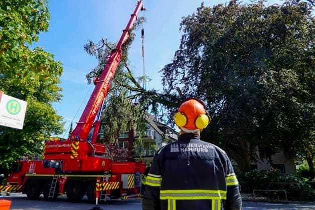 CNTV BAUMKRONE - Feuerwehr mit grossen Geraet im Einsatz Angebrochene Baumkrone droht auf die Strasse zu stürzen 12.AUGUST 2026 Hamburg Wandsbek-Marienthal Mittwoch kam es zu einem stundenlangen Einsatz für die Hamburger Feuerwehr. Eine tonnenschwere Baumkrone war angebrochen und drohte auf die Strasse Baerenalle zu stuerzen In den Nachmittagsstunden konnte die Baumkrone dann abgesägt, angehoben und mit Hilfe des Feuerwehrkrans auf die Strasse gelegt werden um dort in kleine Teile zersägt zu werden Hamburg Deutschland *** CNTV TREE CROWN Fire Department Deploys Heavy Equipment: Broken Tree Crown Threatens to Fall onto the Street August 12, 2026 Hamburg Wandsbek Marienthal On Wednesday, the Hamburg Fire Department carried out an operat