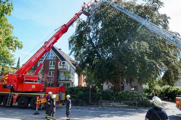 CNTV BAUMKRONE - Feuerwehr mit grossen Geraet im Einsatz Angebrochene Baumkrone droht auf die Strasse zu stürzen 12.AUGUST 2026 Hamburg Wandsbek-Marienthal Mittwoch kam es zu einem stundenlangen Einsatz für die Hamburger Feuerwehr. Eine tonnenschwere Baumkrone war angebrochen und drohte auf die Strasse Baerenalle zu stuerzen In den Nachmittagsstunden konnte die Baumkrone dann abgesägt, angehoben und mit Hilfe des Feuerwehrkrans auf die Strasse gelegt werden um dort in kleine Teile zersägt zu werden Hamburg Deutschland *** CNTV TREE CROWN Fire Department Deploys Heavy Equipment: Broken Tree Crown Threatens to Fall onto the Street August 12, 2026 Hamburg Wandsbek Marienthal On Wednesday, the Hamburg Fire Department carried out an operat