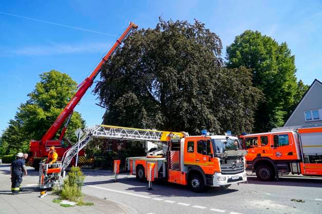CNTV BAUMKRONE - Feuerwehr mit grossen Geraet im Einsatz Angebrochene Baumkrone droht auf die Strasse zu stürzen 12.AUGUST 2026 Hamburg Wandsbek-Marienthal Mittwoch kam es zu einem stundenlangen Einsatz für die Hamburger Feuerwehr. Eine tonnenschwere Baumkrone war angebrochen und drohte auf die Strasse Baerenalle zu stuerzen In den Nachmittagsstunden konnte die Baumkrone dann abgesägt, angehoben und mit Hilfe des Feuerwehrkrans auf die Strasse gelegt werden um dort in kleine Teile zersägt zu werden Hamburg Deutschland *** CNTV TREE CROWN Fire Department Deploys Heavy Equipment: Broken Tree Crown Threatens to Fall onto the Street August 12, 2026 Hamburg Wandsbek Marienthal On Wednesday, the Hamburg Fire Department carried out an operat