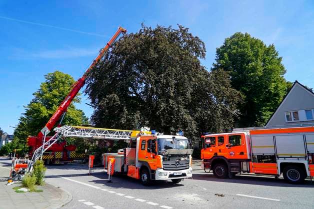 CNTV BAUMKRONE - Feuerwehr mit grossen Geraet im Einsatz Angebrochene Baumkrone droht auf die Strasse zu stürzen 12.AUGUST 2026 Hamburg Wandsbek-Marienthal Mittwoch kam es zu einem stundenlangen Einsatz für die Hamburger Feuerwehr. Eine tonnenschwere Baumkrone war angebrochen und drohte auf die Strasse Baerenalle zu stuerzen In den Nachmittagsstunden konnte die Baumkrone dann abgesägt, angehoben und mit Hilfe des Feuerwehrkrans auf die Strasse gelegt werden um dort in kleine Teile zersägt zu werden Hamburg Deutschland *** CNTV TREE CROWN Fire Department Deploys Heavy Equipment: Broken Tree Crown Threatens to Fall onto the Street August 12, 2026 Hamburg Wandsbek Marienthal On Wednesday, the Hamburg Fire Department carried out an operat