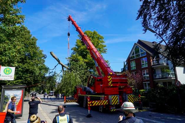 CNTV BAUMKRONE - Feuerwehr mit grossen Geraet im Einsatz Angebrochene Baumkrone droht auf die Strasse zu stürzen 12.AUGUST 2026 Hamburg Wandsbek-Marienthal Mittwoch kam es zu einem stundenlangen Einsatz für die Hamburger Feuerwehr. Eine tonnenschwere Baumkrone war angebrochen und drohte auf die Strasse Baerenalle zu stuerzen In den Nachmittagsstunden konnte die Baumkrone dann abgesägt, angehoben und mit Hilfe des Feuerwehrkrans auf die Strasse gelegt werden um dort in kleine Teile zersägt zu werden Hamburg Deutschland *** CNTV TREE CROWN Fire Department Deploys Heavy Equipment: Broken Tree Crown Threatens to Fall onto the Street August 12, 2026 Hamburg Wandsbek Marienthal On Wednesday, the Hamburg Fire Department carried out an operat