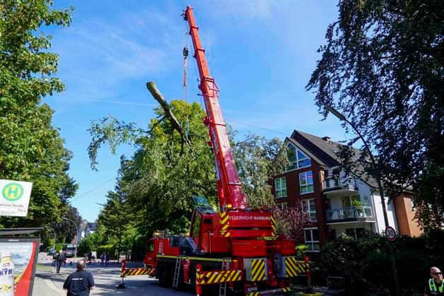 CNTV BAUMKRONE - Feuerwehr mit grossen Geraet im Einsatz Angebrochene Baumkrone droht auf die Strasse zu stürzen 12.AUGUST 2026 Hamburg Wandsbek-Marienthal Mittwoch kam es zu einem stundenlangen Einsatz für die Hamburger Feuerwehr. Eine tonnenschwere Baumkrone war angebrochen und drohte auf die Strasse Baerenalle zu stuerzen In den Nachmittagsstunden konnte die Baumkrone dann abgesägt, angehoben und mit Hilfe des Feuerwehrkrans auf die Strasse gelegt werden um dort in kleine Teile zersägt zu werden Hamburg Deutschland *** CNTV TREE CROWN Fire Department Deploys Heavy Equipment: Broken Tree Crown Threatens to Fall onto the Street August 12, 2026 Hamburg Wandsbek Marienthal On Wednesday, the Hamburg Fire Department carried out an operat