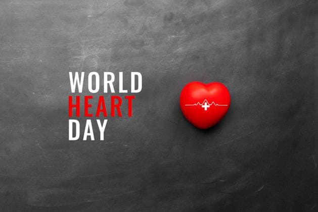 World heart day concept, a red heart on black background Bangkok, Bangkok, Thailand R_VQGHOW201026E-531215-01 ,model released, Symbolfoto ,property released