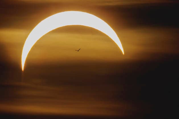 Partielle Sonnenfinsternis, aufgenommen in Berlin, 12.08.2026. Berlin Deutschland *** Partial solar eclipse, photographed in Berlin, August 12, 2026, Berlin, Germany Copyright: xFlorianxGaertnerx