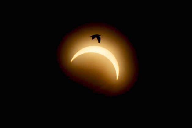 Solar Eclipse in Denmark Solar eclipse in Denmark at Mariager Fjord on Wednesday, August 12, 2026. Denmark experiences a rare solar eclipse on Wednesday between 19:00 and 21:00. At 20:04, when the eclipse is at its peak, approximately 84 percent of the solar disk is covered. , Mariager Denmark Mors *** Solar Eclipse in Denmark Solar eclipse in Denmark at Mariager Fjord on Wednesday, August 12, 2026. Denmark will experience a rare solar eclipse on Wednesday between 7:00 p.m. and 9:00 p.m. At 8:04 p.m., when the eclipse is at its peak, approximately 84 percent of the sun’s disk will be covered. Mariager, Denmark, Mors  Copyright: BoxAmrstrupx xRitzauxScanpix BoxAmstrupx spdk20260812-203015-L