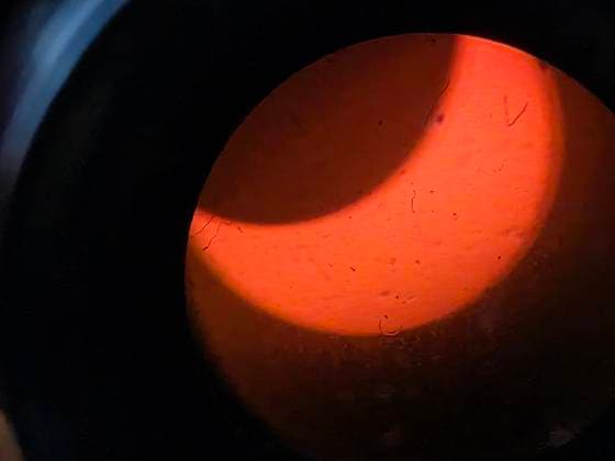Sonnenfinsternis auf der Halde Tetraeder in Bottrop ** NUR FÜR REDAKTIONELLE ZWECKE ** EDITORIAL USE ONLY **<p>Partielle Sonnenfinsternis - hier auf der Tetraeder Halde in Bottrop - am Mittwoch, den 12. August 2026. Bei dem perfekten Wetter war die Sonnenfinsternis sehr gut zu sehen und dementsprechend waren viele Leute dort. Deutschland NRW Bottrop Copyright: KerstinxBögeholz *** Solar Eclipse at the Tetraeder Slope in Bottrop ** FOR EDITORIAL USE ONLY ** EDITORIAL USE ONLY ** Partial solar eclipse here at the Tetraeder slag heap in Bottrop on Wednesday, August 12, 2026. With perfect weather, the solar eclipse was clearly visible, and as a result, many people were there. Germany, North Rhine-Westphalia, Bottrop. Copyright KerstinxBögehol Copyright: KerstinxBögeholz doc874r4n43zch11gqa5giy ,EDITORIAL USE ONLY