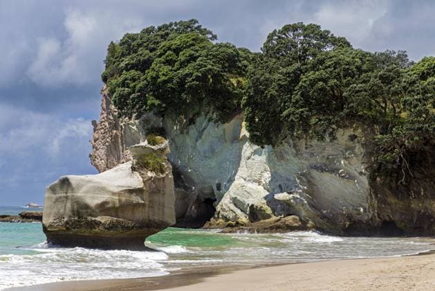 Die ikonische Mautohe Cathedral Cove, eine gigantische gewölbte Höhle, die durch eine Felsspitze führt und zwei Buchten in Mercury Bay, Neuseeland, verbindet The iconic Mautohe Cathedral Cove, a gigantic arched cavern that passes through a rock headland to join two coves at Mercury Bay, New Zealand Copyright: imageBROKER DavidxRowland iblbmv18742286.jpg