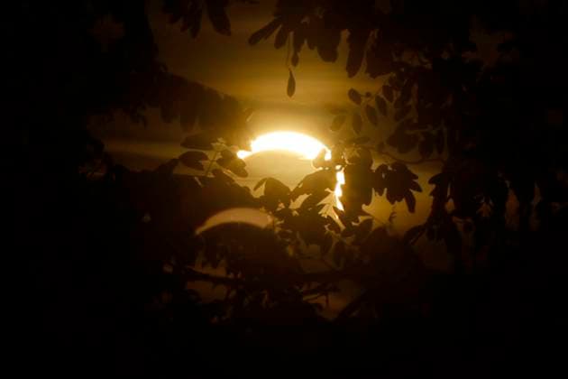 12.08.2026, partielle Sonnenfinsternis in Berlin, der Mond schiebt sich halb vor die Sonne um 20.15 Uhr, Berlin Deutschland, Germany *** August 12, 2026, partial solar eclipse in Berlin; the Moon will partially cover the Sun at 8:15 p.m., Berlin, Germany