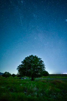 (260813) -- BEIJING, Aug. 13, 2026 -- This photo taken on Aug. 13, 2026 shows Perseid meteor shower over Yinchuan City, northwest China s Ningxia Hui Autonomous Region. Perseid meteor shower, which peaks on August 12 and 13 this year, is an annual meteor shower that occurs from mid-July to late August. ) (EcoChina)CHINA-PERSEID METEOR SHOWER (CN) YangxZhisen 
