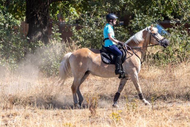 August 13, 2026, London, UK: London, UK. A horse rider brave the 37c heat on Wimbledon Common, southwest London today. Weather forecasters issue further Amber high heat weather alerts for London and the South East this week as the South has had hardly any rain for over 40 days. London UK  - ZUMAl94_ 20260813_zaf_l94_041 Copyright: xAlexxLentatix