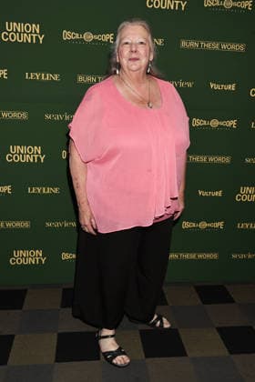 New York premiere of Union County at the IFC Center Featuring: Annette Deao Where: New York, New York, United States When: 12 Aug 2026 Credit: Dave Allocca Starpix INSTARimages EDITORIAL USE ONLY. NOT FOR USE BY NEWSPAPERS BASED IN THE UK. Copyright: xx instar55914308