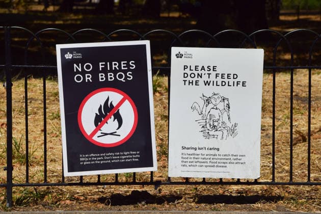 August 13, 2026, London, England, United Kingdom: A No Fires or BBQs sign is displayed in Hyde Park as drought conditions continue. An amber heat health alert has been issued as the fifth heatwave of the year hits the UK. London United Kingdom  - ZUMAv130 20260813_zip_v130_015 Copyright: xVukxValcicx