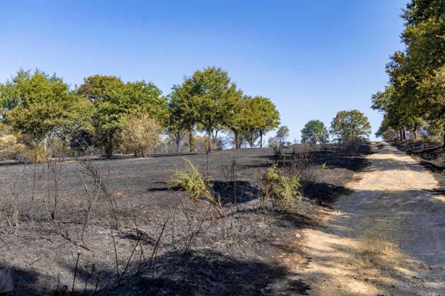 Forest Fire Aftermath In Saint-Just - France A forest fire burns in the Saint-Just area of Ille-et-Vilaine, France on August 13, 2026, with emergency response efforts visible as firefighting vehicles and personnel deploy to combat the blaze. Photo by La Tuque Jaune ANDBZ ABACAPRESS.COM Saint-Just Ille-et-Vilaine France  Copyright: xANDBZ ABACAx
