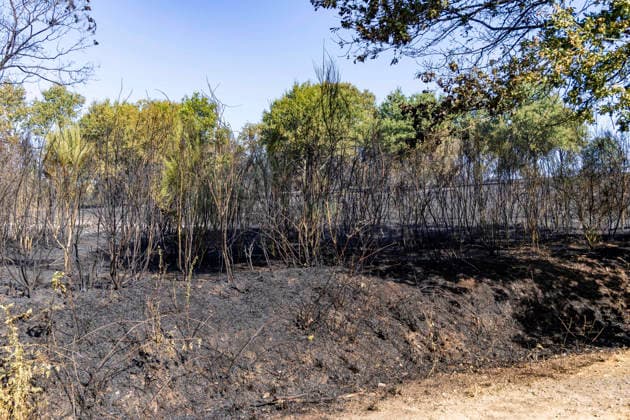 Forest Fire Aftermath In Saint-Just - France A forest fire burns in the Saint-Just area of Ille-et-Vilaine, France on August 13, 2026, with emergency response efforts visible as firefighting vehicles and personnel deploy to combat the blaze. Photo by La Tuque Jaune ANDBZ ABACAPRESS.COM Saint-Just Ille-et-Vilaine France  Copyright: xANDBZ ABACAx