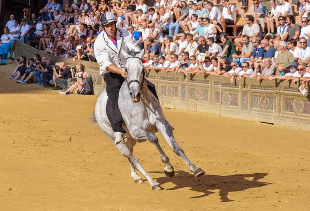 August 13, 2026, Siena, Toscana, ITALIA: Siena, Piazza del Campo Ã¢â‚¬ August 13, 2026. The *Tratta* took place this morning; it is one of the key moments of the Palio, during which the selected horses are assigned by lot to the ten *Contrade* participating in the race on August 16. Siena ITALIA - ZUMAs236 20260813_aap_s236_023 Copyright: xFabioxSassox