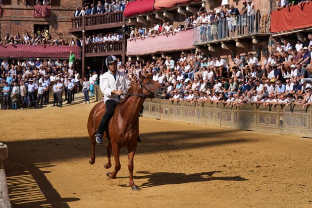 August 13, 2026, Siena, Toscana, ITALIA: Siena, Piazza del Campo Ã¢â‚¬ August 13, 2026. The *Tratta* took place this morning; it is one of the key moments of the Palio, during which the selected horses are assigned by lot to the ten *Contrade* participating in the race on August 16. Siena ITALIA  - ZUMAs236 20260813_aap_s236_017 Copyright: xFabioxSassox