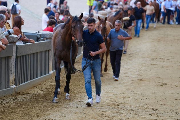 August 13, 2026, Siena, Toscana, ITALIA: Siena, Piazza del Campo Ã¢â‚¬ August 13, 2026. The *Tratta* took place this morning; it is one of the key moments of the Palio, during which the selected horses are assigned by lot to the ten *Contrade* participating in the race on August 16. Siena ITALIA  - ZUMAs236 20260813_aap_s236_026 Copyright: xFabioxSassox