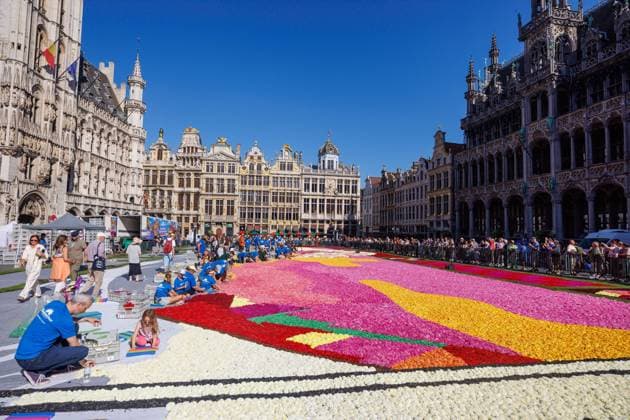 FLOWER CARPET BRUSSELSBELGIQUE 2026 Bruxelles- AUGUST 13 : Installation Flower Carpet in Brussels -Grand Place on August 13, 2026 in Belgium, 13 08 2026 Brussels Brussels  Copyright: xBouchezbenx