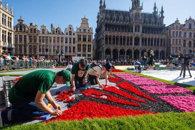FLOWER CARPET BRUSSELSBELGIQUE 2026 Bruxelles- AUGUST 13 : Installation Flower Carpet in Brussels -Grand Place on August 13, 2026 in Belgium, 13 08 2026 Brussels Brussels  Copyright: xBouchezbenx