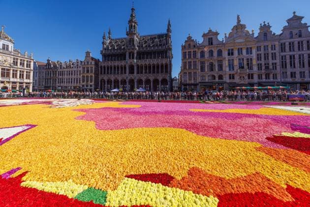 FLOWER CARPET BRUSSELSBELGIQUE 2026 Bruxelles- AUGUST 13 : Installation Flower Carpet in Brussels -Grand Place on August 13, 2026 in Belgium, 13 08 2026 Brussels Brussels  Copyright: xBouchezbenx