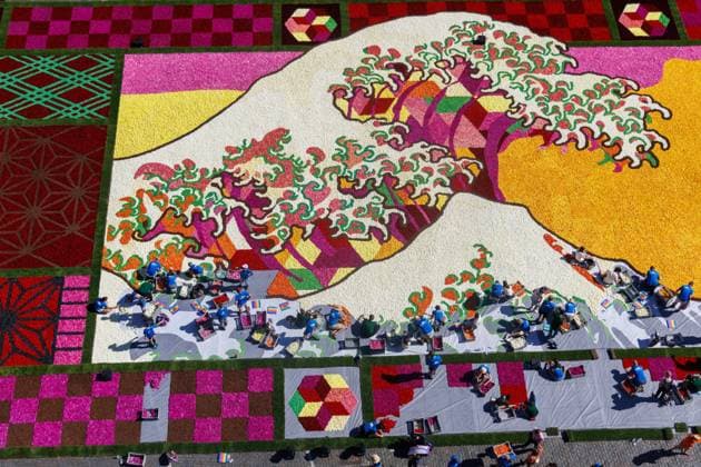 FLOWER CARPET BRUSSELSBELGIQUE 2026 Bruxelles- AUGUST 13 : Installation Flower Carpet in Brussels -Grand Place on August 13, 2026 in Belgium, 13 08 2026 Brussels Brussels  Copyright: xBouchezbenx