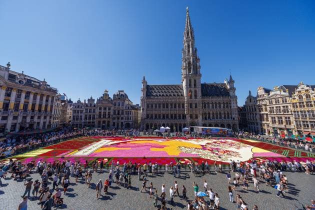 FLOWER CARPET BRUSSELSBELGIQUE 2026 Bruxelles- AUGUST 13 : Installation Flower Carpet in Brussels -Grand Place on August 13, 2026 in Belgium, 13 08 2026 Brussels Brussels  Copyright: xBouchezbenx