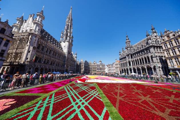 FLOWER CARPET BRUSSELSBELGIQUE 2026 Bruxelles- AUGUST 13 : Installation Flower Carpet in Brussels -Grand Place on August 13, 2026 in Belgium, 13 08 2026 Brussels Brussels  Copyright: xBouchezbenx