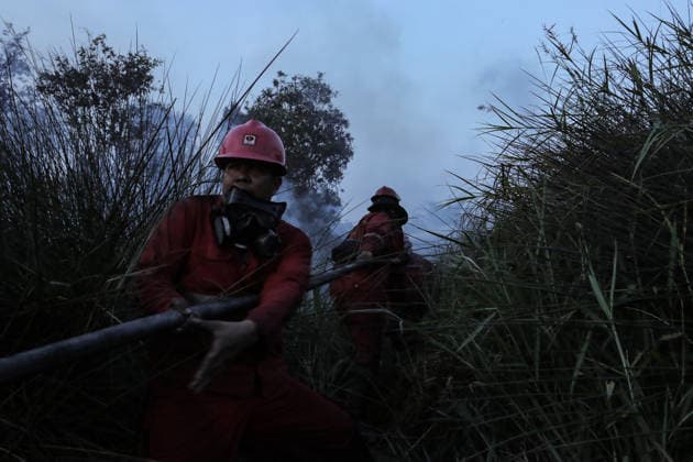 Peatland Fire In South Sumatra Members of the Manggala Agni team work to extinguish a fire at a peatland site in Palm Raya Village, Inderalaya District, South Sumatra, on August 13, 2026. Inderalaya Indonesia  Copyright: xSigitxPrasetyax originalFilename: prasetya-notitle260813_np2MM.jpg