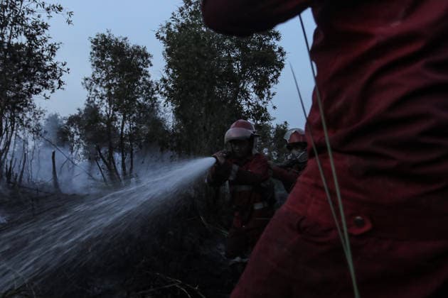 Peatland Fire In South Sumatra Members of the Manggala Agni team work to extinguish a fire at a peatland site in Palm Raya Village, Inderalaya District, South Sumatra, on August 13, 2026. Inderalaya Indonesia  Copyright: xSigitxPrasetyax originalFilename: prasetya-notitle260813_np9UK.jpg