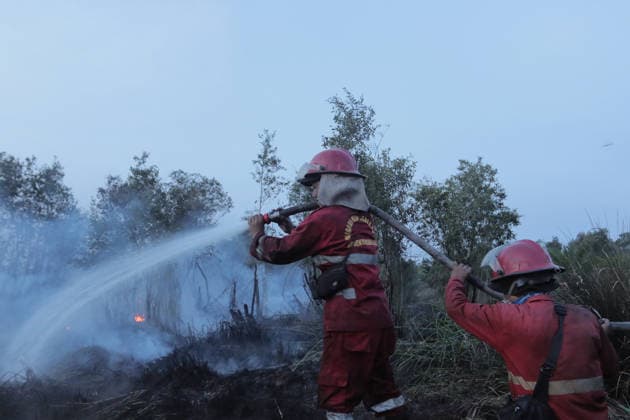 Peatland Fire In South Sumatra Members of the Manggala Agni team work to extinguish a fire at a peatland site in Palm Raya Village, Inderalaya District, South Sumatra, on August 13, 2026. Inderalaya Indonesia  Copyright: xSigitxPrasetyax originalFilename: prasetya-notitle260813_npI2U.jpg