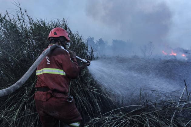 Peatland Fire In South Sumatra Members of the Manggala Agni team work to extinguish a fire at a peatland site in Palm Raya Village, Inderalaya District, South Sumatra, on August 13, 2026. Inderalaya Indonesia  Copyright: xSigitxPrasetyax originalFilename: prasetya-notitle260813_npVH6.jpg