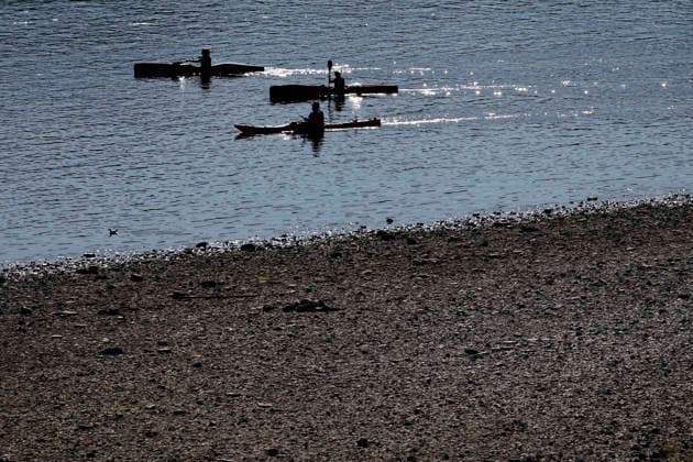 Bei ausbleibenden Regen ist der historisch niedrige Wasserstand des Rheins in NRW noch weiter gefallen. In Köln ist am Donnerstag (13. August) ein Wert on 49 Zentimetern gemessen worden. Der Rheinpegel ist in Köln damit auf einem Rekordtief. Viele Rheinwiesen sind verdorrt und versteppt und der sonst so stolze Fluss hat sich tief in sein Bett zurückgezogen, gibt den Blick auf trockene Ufer frei. (Themenbild, Symbolbild) Köln, 13.08.2026 NRW Deutschland *** With no rain in sight, the historically low water level of the Rhine in North Rhine-Westphalia has fallen even further. In Cologne, a level of 49 centimeters was measured on Thursday, August 13. The Rhine’s water level in Cologne has thus reached a record low. Many of the Rhine’s floo Copyright: xChristophxHardtx