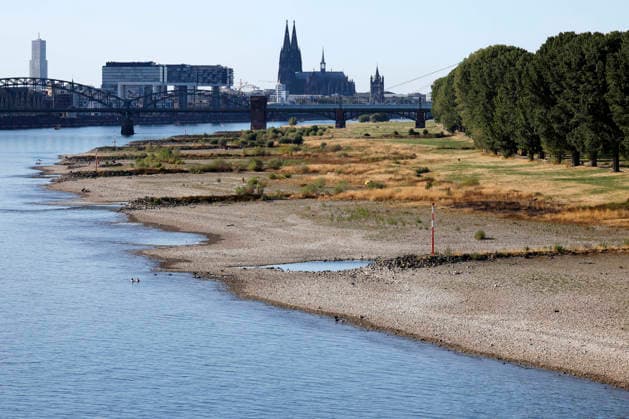 Bei ausbleibenden Regen ist der historisch niedrige Wasserstand des Rheins in NRW noch weiter gefallen. In Köln ist am Donnerstag (13. August) ein Wert on 49 Zentimetern gemessen worden. Der Rheinpegel ist in Köln damit auf einem Rekordtief. Viele Rheinwiesen sind verdorrt und versteppt und der sonst so stolze Fluss hat sich tief in sein Bett zurückgezogen, gibt den Blick auf trockene Ufer frei. (Themenbild, Symbolbild) Köln, 13.08.2026 NRW Deutschland *** With no rain in sight, the historically low water level of the Rhine in North Rhine-Westphalia has fallen even further. In Cologne, a level of 49 centimeters was measured on Thursday, August 13. The Rhine’s water level in Cologne has thus reached a record low. Many of the Rhine’s floo Copyright: xChristophxHardtx