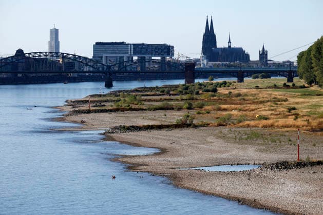 Bei ausbleibenden Regen ist der historisch niedrige Wasserstand des Rheins in NRW noch weiter gefallen. In Köln ist am Donnerstag (13. August) ein Wert on 49 Zentimetern gemessen worden. Der Rheinpegel ist in Köln damit auf einem Rekordtief. Viele Rheinwiesen sind verdorrt und versteppt und der sonst so stolze Fluss hat sich tief in sein Bett zurückgezogen, gibt den Blick auf trockene Ufer frei. (Themenbild, Symbolbild) Köln, 13.08.2026 NRW Deutschland *** With no rain in sight, the historically low water level of the Rhine in North Rhine-Westphalia has fallen even further. In Cologne, a level of 49 centimeters was measured on Thursday, August 13. The Rhine’s water level in Cologne has thus reached a record low. Many of the Rhine’s floo Copyright: xChristophxHardtx