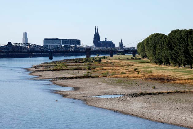 Bei ausbleibenden Regen ist der historisch niedrige Wasserstand des Rheins in NRW noch weiter gefallen. In Köln ist am Donnerstag (13. August) ein Wert on 49 Zentimetern gemessen worden. Der Rheinpegel ist in Köln damit auf einem Rekordtief. Viele Rheinwiesen sind verdorrt und versteppt und der sonst so stolze Fluss hat sich tief in sein Bett zurückgezogen, gibt den Blick auf trockene Ufer frei. (Themenbild, Symbolbild) Köln, 13.08.2026 NRW Deutschland *** With no rain in sight, the historically low water level of the Rhine in North Rhine-Westphalia has fallen even further. In Cologne, a level of 49 centimeters was measured on Thursday, August 13. The Rhine’s water level in Cologne has thus reached a record low. Many of the Rhine meadow Copyright: xChristophxHardtx