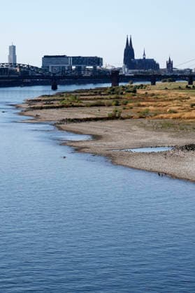 Bei ausbleibenden Regen ist der historisch niedrige Wasserstand des Rheins in NRW noch weiter gefallen. In Köln ist am Donnerstag (13. August) ein Wert on 49 Zentimetern gemessen worden. Der Rheinpegel ist in Köln damit auf einem Rekordtief. Viele Rheinwiesen sind verdorrt und versteppt und der sonst so stolze Fluss hat sich tief in sein Bett zurückgezogen, gibt den Blick auf trockene Ufer frei. (Themenbild, Symbolbild) Köln, 13.08.2026 NRW Deutschland *** With no rain in sight, the historically low water level of the Rhine in North Rhine-Westphalia has fallen even further. In Cologne, a level of 49 centimeters was measured on Thursday, August 13. The Rhine’s water level in Cologne has thus reached a record low. Many of the Rhine meadow Copyright: xChristophxHardtx