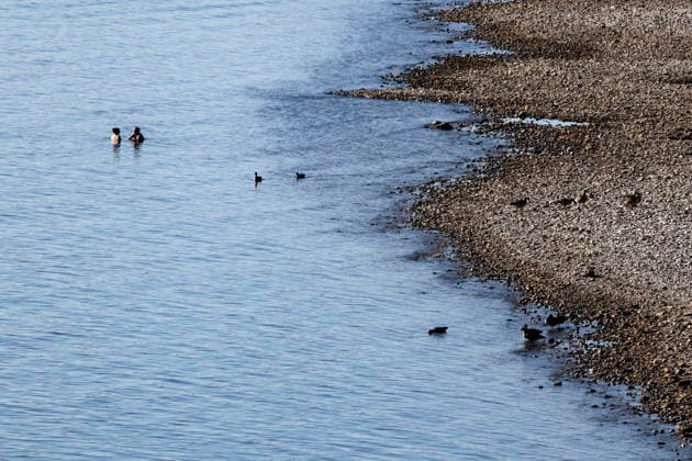 Bei ausbleibenden Regen ist der historisch niedrige Wasserstand des Rheins in NRW noch weiter gefallen. In Köln ist am Donnerstag (13. August) ein Wert on 49 Zentimetern gemessen worden. Der Rheinpegel ist in Köln damit auf einem Rekordtief. Viele Rheinwiesen sind verdorrt und versteppt und der sonst so stolze Fluss hat sich tief in sein Bett zurückgezogen, gibt den Blick auf trockene Ufer frei. (Themenbild, Symbolbild) Köln, 13.08.2026 NRW Deutschland *** With no rain in sight, the historically low water level of the Rhine in North Rhine-Westphalia has fallen even further. In Cologne, a level of 49 centimeters was measured on Thursday, August 13. The Rhine’s water level in Cologne has thus reached a record low. Many of the Rhine meadow Copyright: xChristophxHardtx