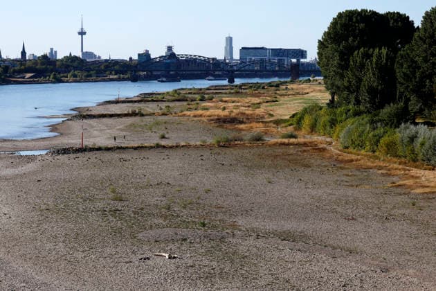 Bei ausbleibenden Regen ist der historisch niedrige Wasserstand des Rheins in NRW noch weiter gefallen. In Köln ist am Donnerstag (13. August) ein Wert on 49 Zentimetern gemessen worden. Der Rheinpegel ist in Köln damit auf einem Rekordtief. Viele Rheinwiesen sind verdorrt und versteppt und der sonst so stolze Fluss hat sich tief in sein Bett zurückgezogen, gibt den Blick auf trockene Ufer frei. (Themenbild, Symbolbild) Köln, 13.08.2026 NRW Deutschland *** With no rain in sight, the historically low water level of the Rhine in North Rhine-Westphalia has fallen even further. In Cologne, a level of 49 centimeters was measured on Thursday, August 13. The Rhine’s water level in Cologne has thus reached a record low. Many of the Rhine meadow Copyright: xChristophxHardtx