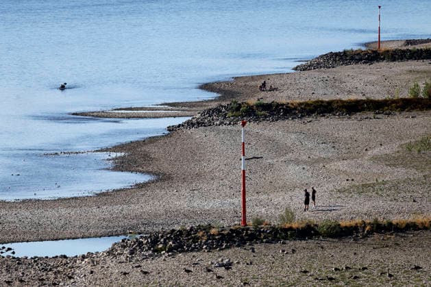Bei ausbleibenden Regen ist der historisch niedrige Wasserstand des Rheins in NRW noch weiter gefallen. In Köln ist am Donnerstag (13. August) ein Wert on 49 Zentimetern gemessen worden. Der Rheinpegel ist in Köln damit auf einem Rekordtief. Viele Rheinwiesen sind verdorrt und versteppt und der sonst so stolze Fluss hat sich tief in sein Bett zurückgezogen, gibt den Blick auf trockene Ufer frei. (Themenbild, Symbolbild) Köln, 13.08.2026 NRW Deutschland *** With no rain in sight, the historically low water level of the Rhine in North Rhine-Westphalia has fallen even further. In Cologne, a level of 49 centimeters was measured on Thursday, August 13. The Rhine’s water level in Cologne has thus reached a record low. Many of the Rhine meadow Copyright: xChristophxHardtx