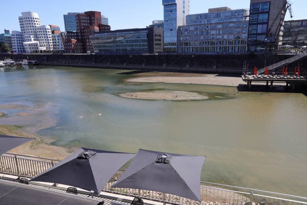 13.08.2026, Deutschland, NRW, Wetter, Hitze, Flüsse, Niedrigwasser, Trockenheit, Durch die Hitze ist das Rhein-Wasser im Medienhafen in Düsseldorf stark zurück gegangen, Rheinturm, Gehry buildungs, Deutschland *** August 13, 2026, Germany, North Rhine-Westphalia, Weather, Heat, Rivers, Low Water Levels, Drought, Due to the heat, the water level of the Rhine in Düsseldorf s Medienhafen has dropped significantly; Rhine Tower, Gehry Building, Germany Copyright: xD.xKerlekin SnowfieldxPhotographyx SF130826HafenD3