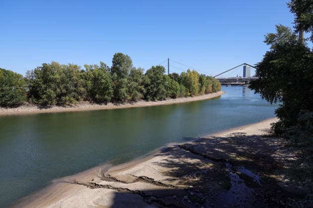 13.08.2026, Deutschland, NRW, Wetter, Hitze, Flüsse, Niedrigwasser, Trockenheit, Durch die Hitze ist das Rhein-Wasser in Düsseldorf extrem gesunken, was für Schiffe immer problematischer wird, Deutschland *** August 13, 2026, Germany, North Rhine-Westphalia, Weather, Heat, Rivers, Low Water Levels, Drought, Due to the heat, the water level of the Rhine in Düsseldorf has dropped significantly, which is becoming increasingly problematic for ships, Germany Copyright: xD.xKerlekin SnowfieldxPhotographyx SF130826RheinD10