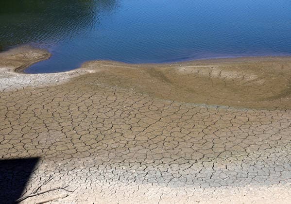 13.08.2026, Deutschland, NRW, Wetter, Hitze, Flüsse, Niedrigwasser, Trockenheit, Durch die Hitze ist das Rhein-Wasser in Düsseldorf extrem gesunken, was für Schiffe immer problematischer wird, ausgetrockneter Boden, Deutschland *** August 13, 2026, Germany, North Rhine-Westphalia, Weather, Heat, Rivers, Low Water Levels, Drought, Due to the heat, the water level of the Rhine in Düsseldorf has dropped dramatically, which is becoming increasingly problematic for ships; dried-up riverbed, Germany Copyright: xD.xKerlekin SnowfieldxPhotographyx SF130826RheinD12