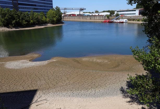 13.08.2026, Deutschland, NRW, Wetter, Hitze, Flüsse, Niedrigwasser, Trockenheit, Durch die Hitze ist das Rhein-Wasser in Düsseldorf extrem gesunken, was für Schiffe immer problematischer wird, ausgetrockneter Boden, Deutschland *** August 13, 2026, Germany, North Rhine-Westphalia, Weather, Heat, Rivers, Low Water Levels, Drought, Due to the heat, the water level of the Rhine in Düsseldorf has dropped dramatically, which is becoming increasingly problematic for ships; dried-up riverbed, Germany Copyright: xD.xKerlekin SnowfieldxPhotographyx SF130826RheinD13