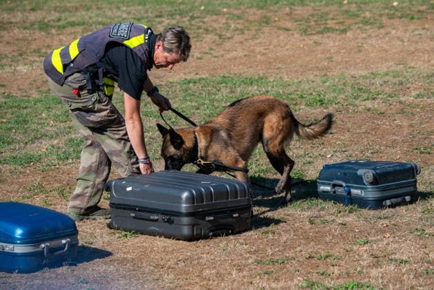 French Center Training Gendarmerie Dog Teams - Gramat The Centre National d’Instruction Cynophile de la Gendarmerie (CNICG) in Gramat, Lot, France on Undated, the sole French center training gendarmerie canine teams since 1945, operates across 14 hectares with nine kennels accommodating up to 150 dogs simultaneously, training 350 students annually in intensive courses to form handler-dog pairs, with dogs—primarily Belgian Malinois—specializing in person search, narcotics detection, explosives, weapons, and electronic media detection. August 13, 2026. Photo by Denis Prezat ABACAPRESS.COM Gramat France  Copyright: xPrezatxDenis ABACAx